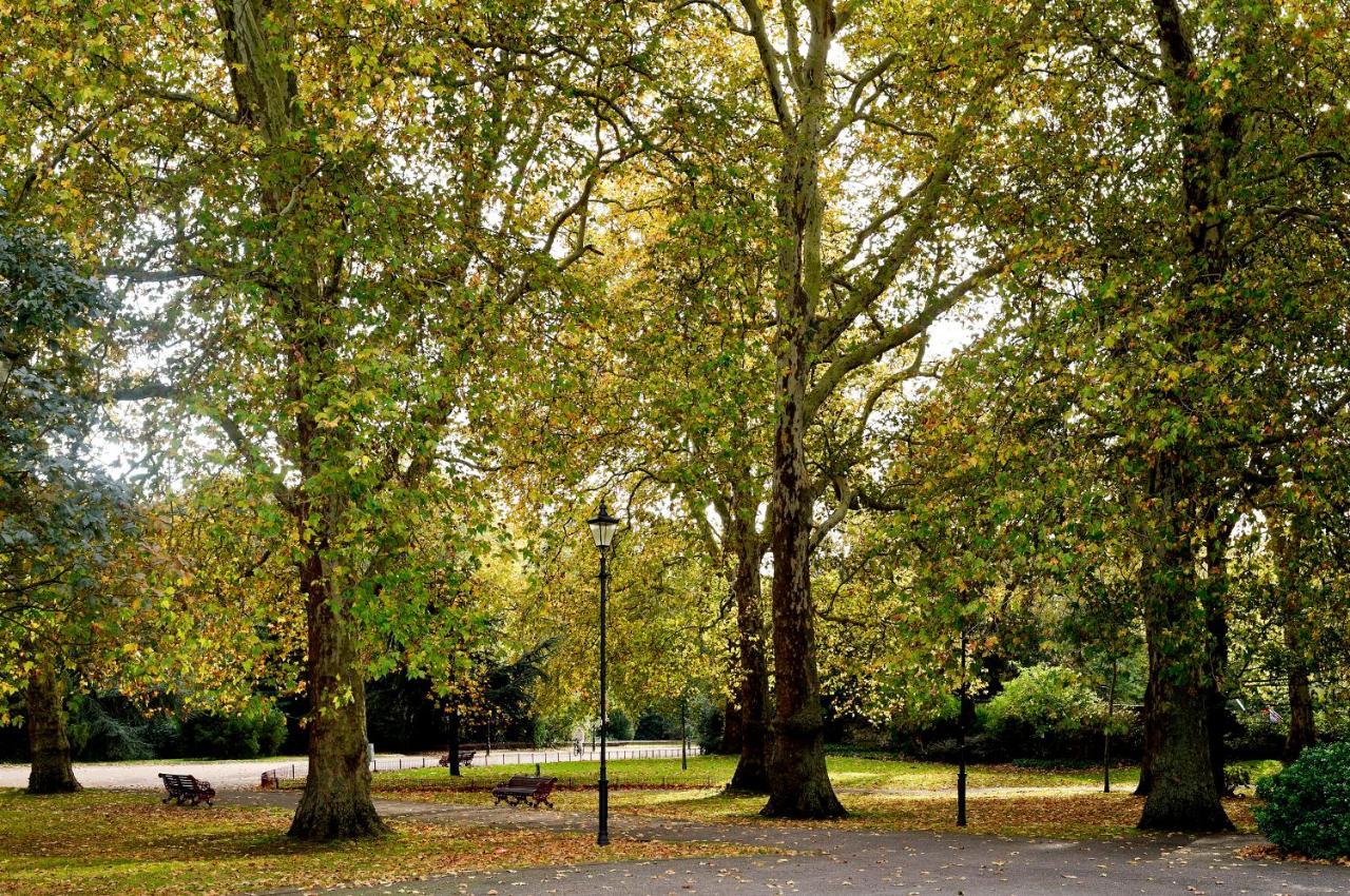 Appartement Veeve - White Lights On Wendle Square Londen