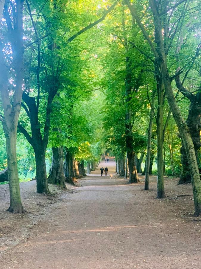 Leilighet Cozy In Hampstead Heath *