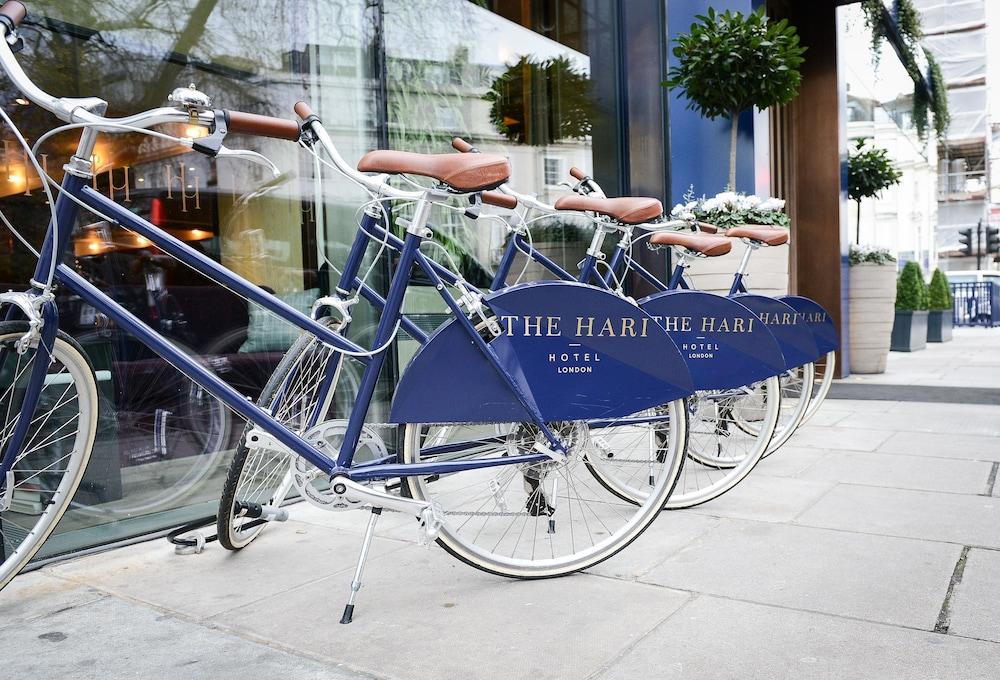 The Hari London