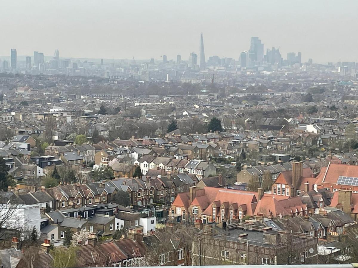 Dulwich Delight Panoramic View Londen