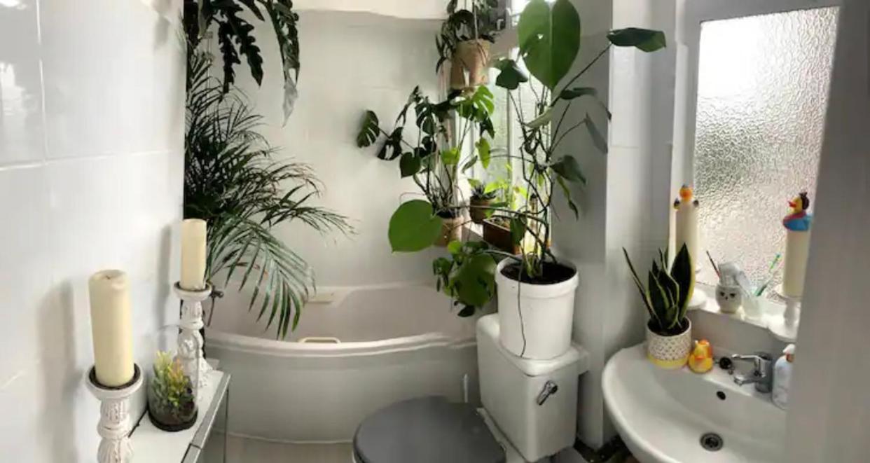 Magical Wizardry Flat In * London