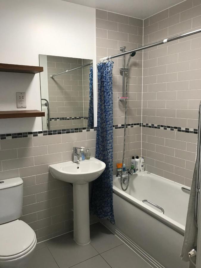 Modern Flat By River Thames And Park In Putney Apartment London