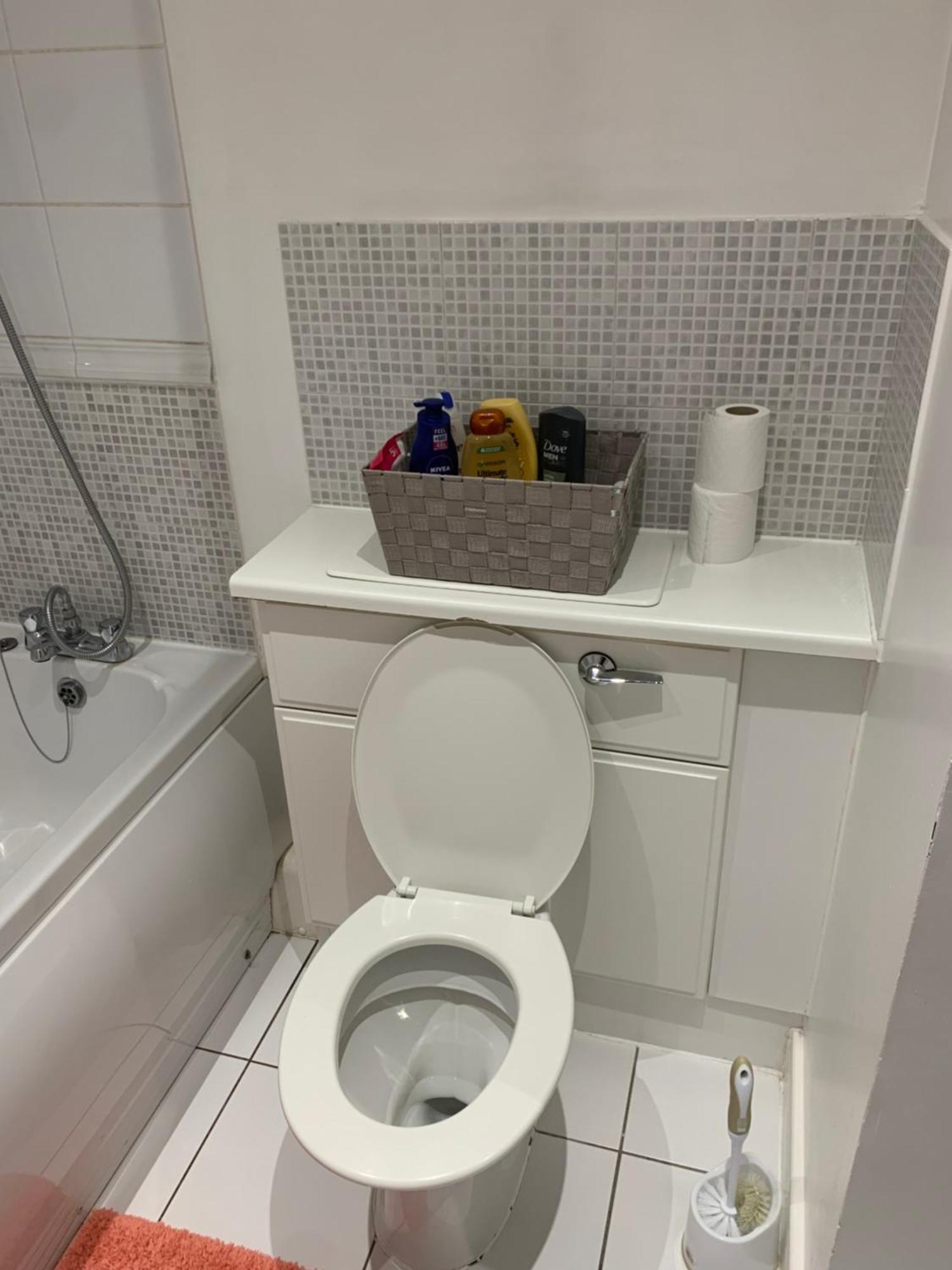 Rum i privatbostad In Stratford With Private Bathroom And Parking London