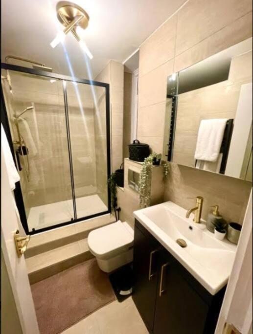 Luxury 3 Bedroom 3 And A Half Bathroom Flat In Swiss Leilighet