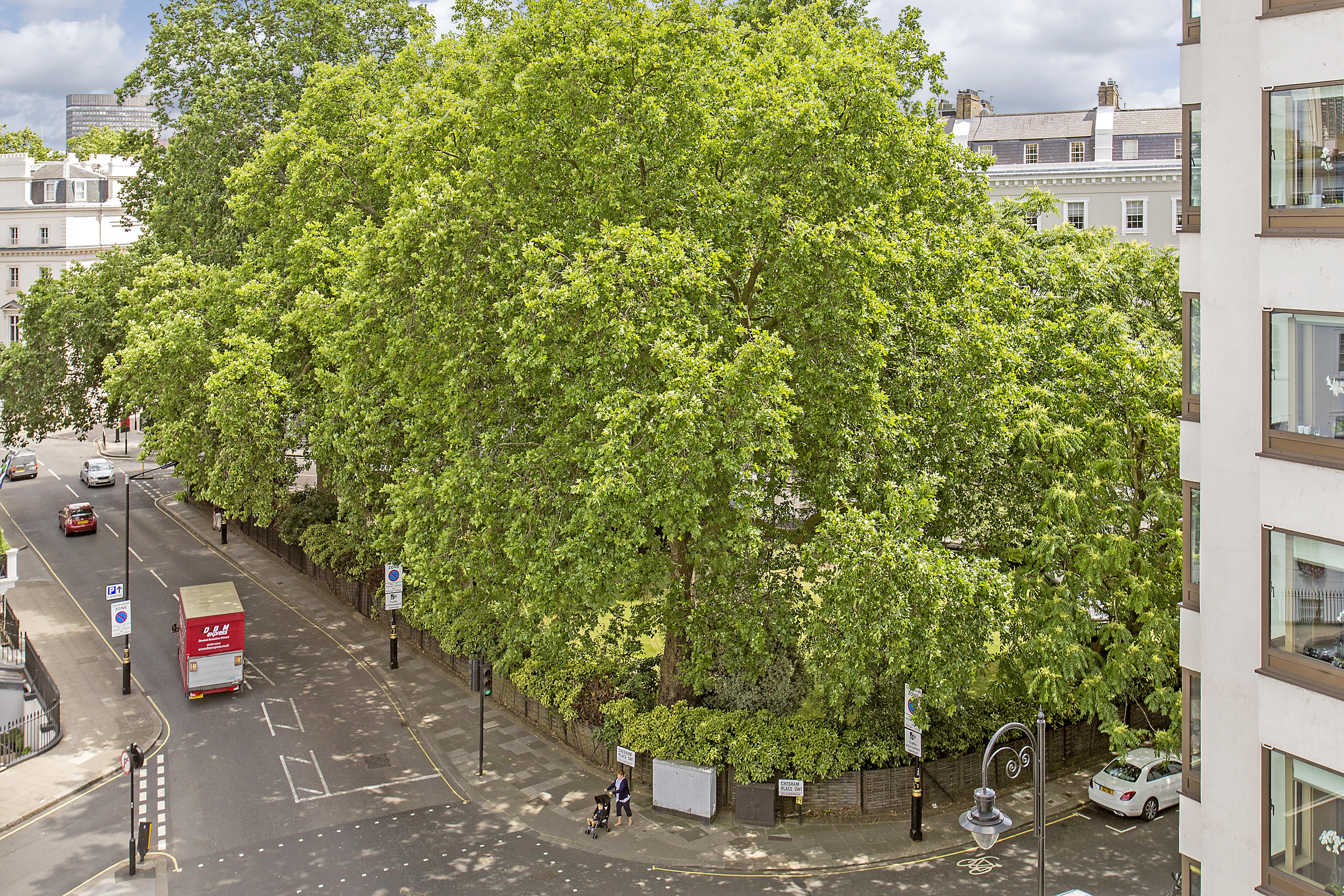Chesham Court Knightsbridge Aparthotel