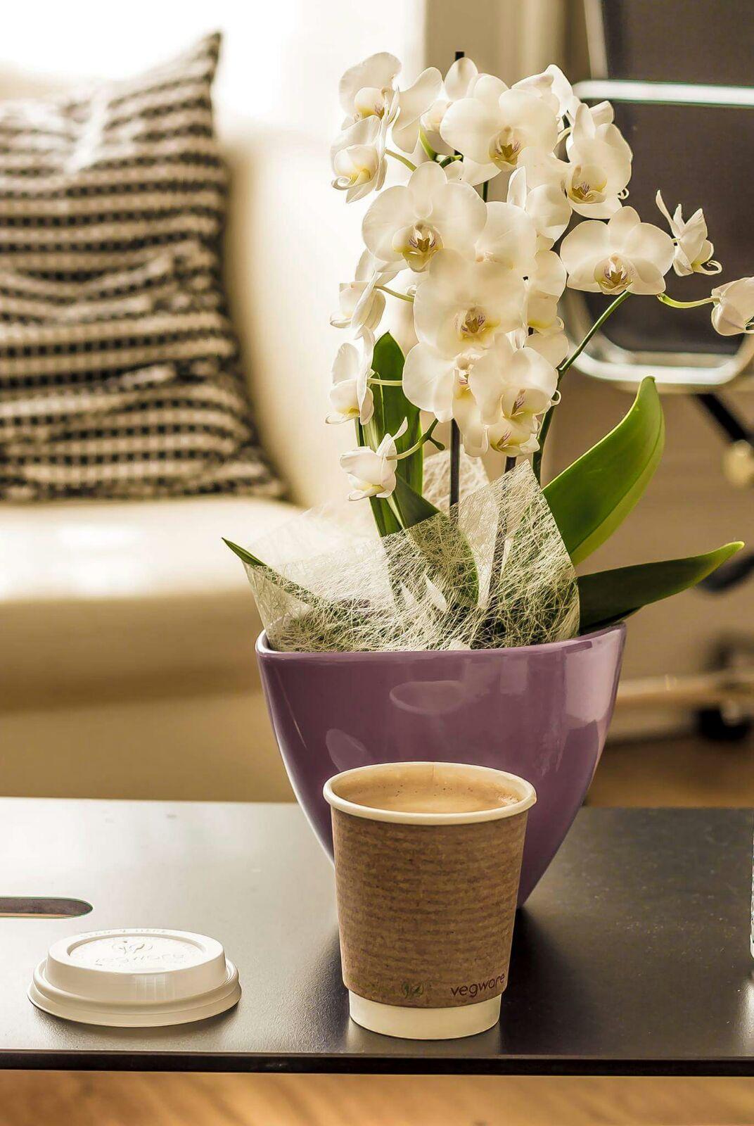 Belgravia Gæstehus 4*