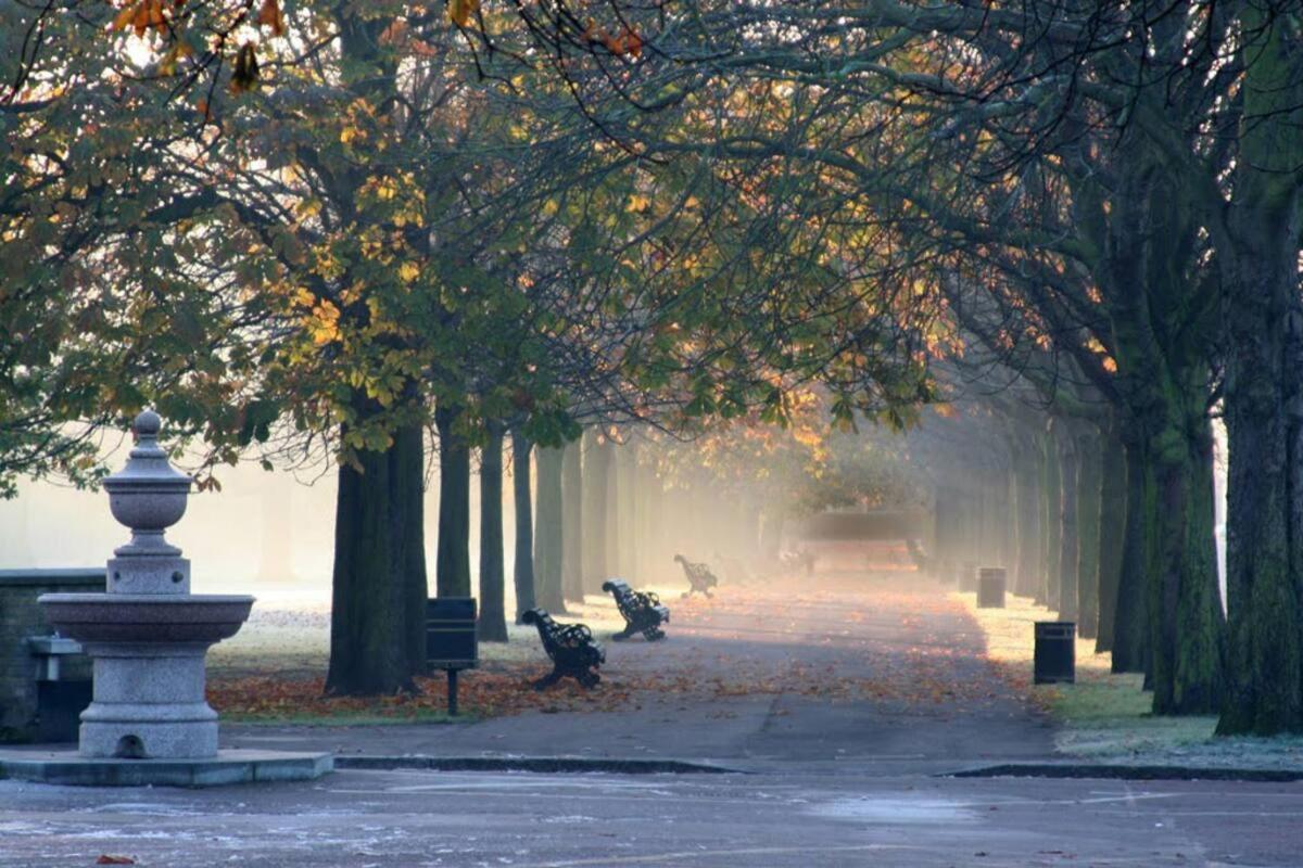 Apartment Elegant & Spacious Parkside 2-bedroom 2-bathroom Flat In Period Building On Blackheath Common - Private Entrance, Great Greenwich Location, Easy For O2 Arena And City! London