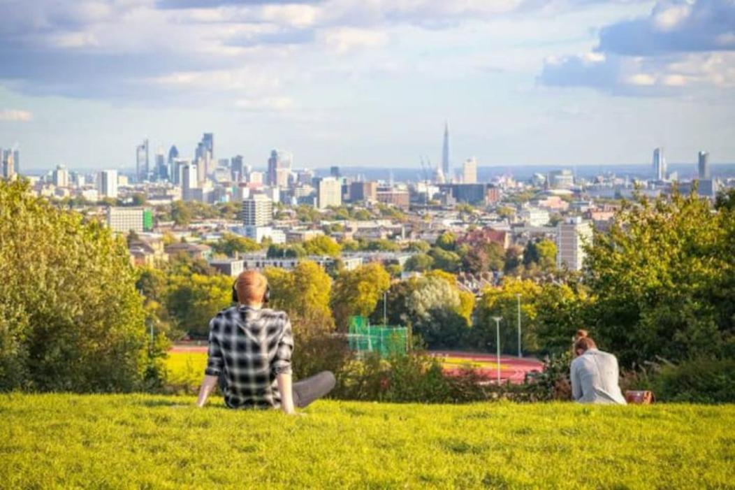 Cozy In Hampstead Heath * Londra