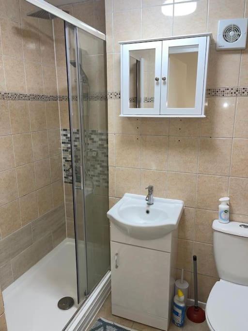 With Share Bathroom Near Train Line Leilighet London