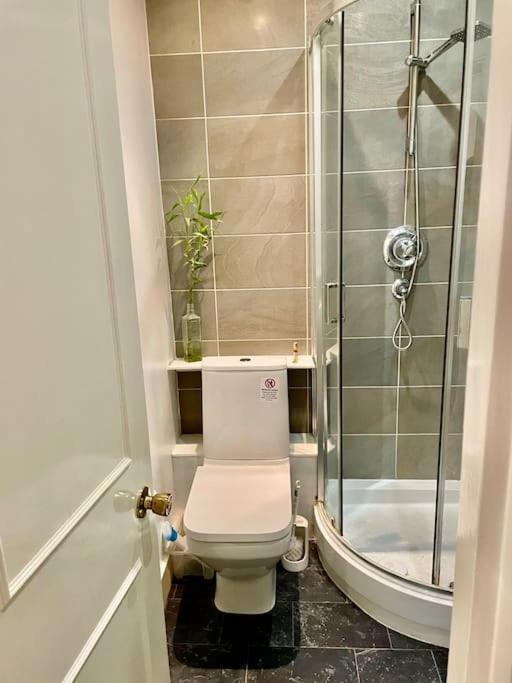 Spacious Flat With Huge Patio In London