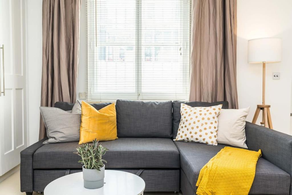 Spacious Beautiful Just-renovated Flat With Patio - Chelsea Londen