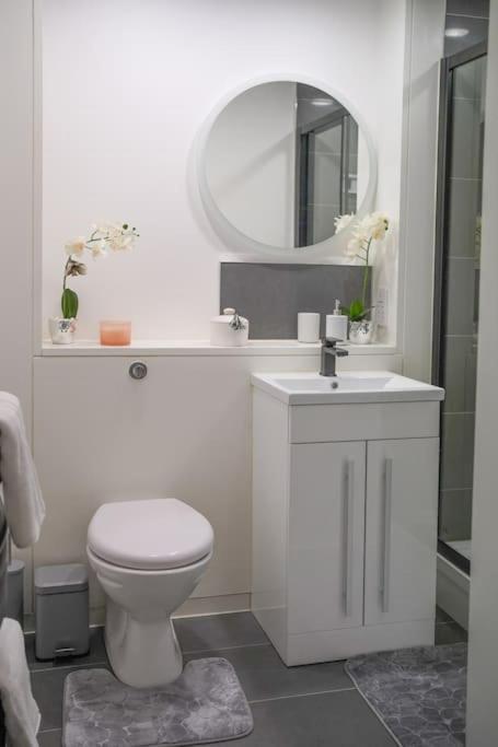 Newly Refurb Studio Shoreditch Appartement Londres