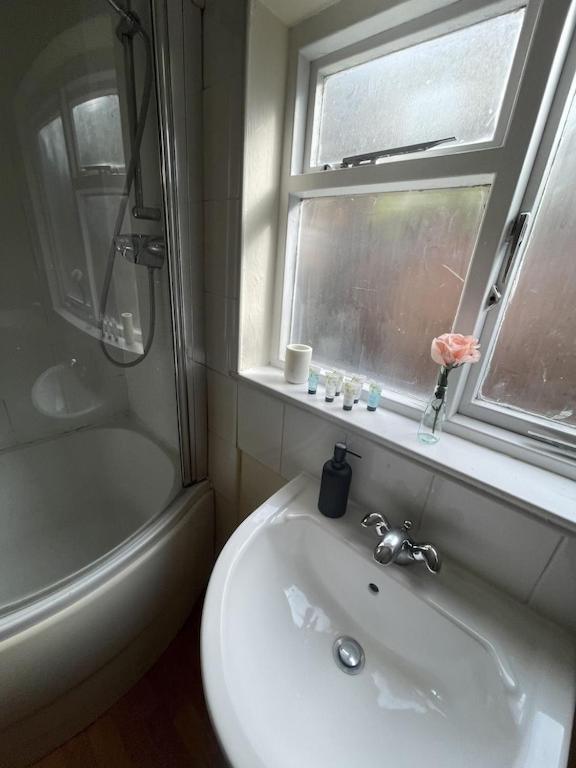 Appartement Beautiful Ground Floor Garden Flat Londen