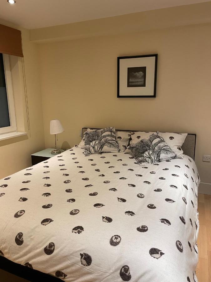 Modern In By River Thames Appartement Londen