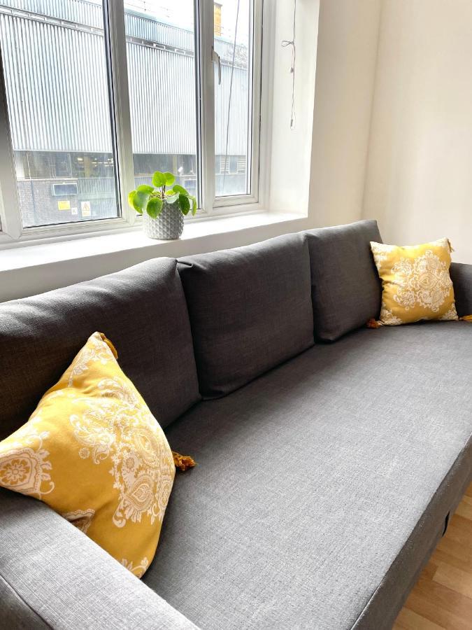 Apartment 2 Bedroom Near Euston, King's Cross