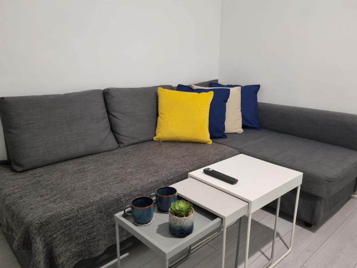 Wembley Stadium And Ovo Arena Appartement Londen