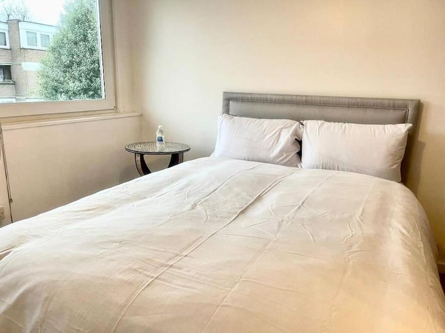 Newly Renovated 2 Bedroom Lägenhet London