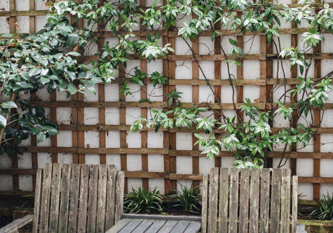 2 Bed Garden In Notting Hill *