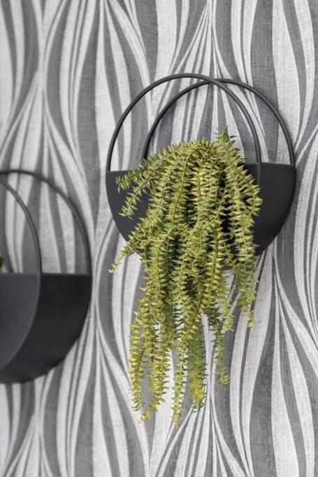 Leilighet Cozy Nook: Stylish Studio, Walk To Park & Shop *