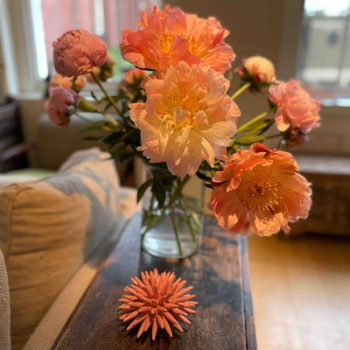 Appartement Beautiful Kensington Flat Londen