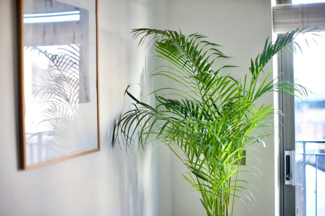 Lejlighed Zen Life With Urban Views - E8 Chic *