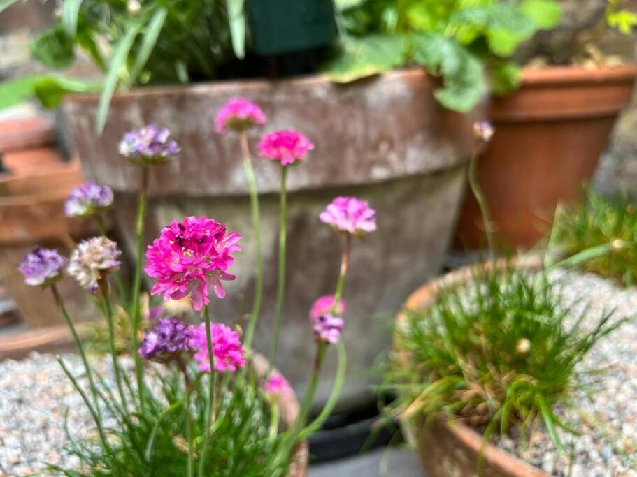 Kings Cross, Self-contained House & Private Garden Semesterbostad London