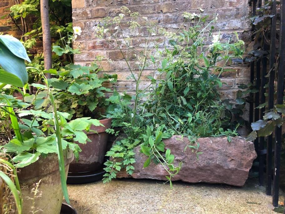Semesterbostad Kings Cross, Self-contained House & Private Garden London