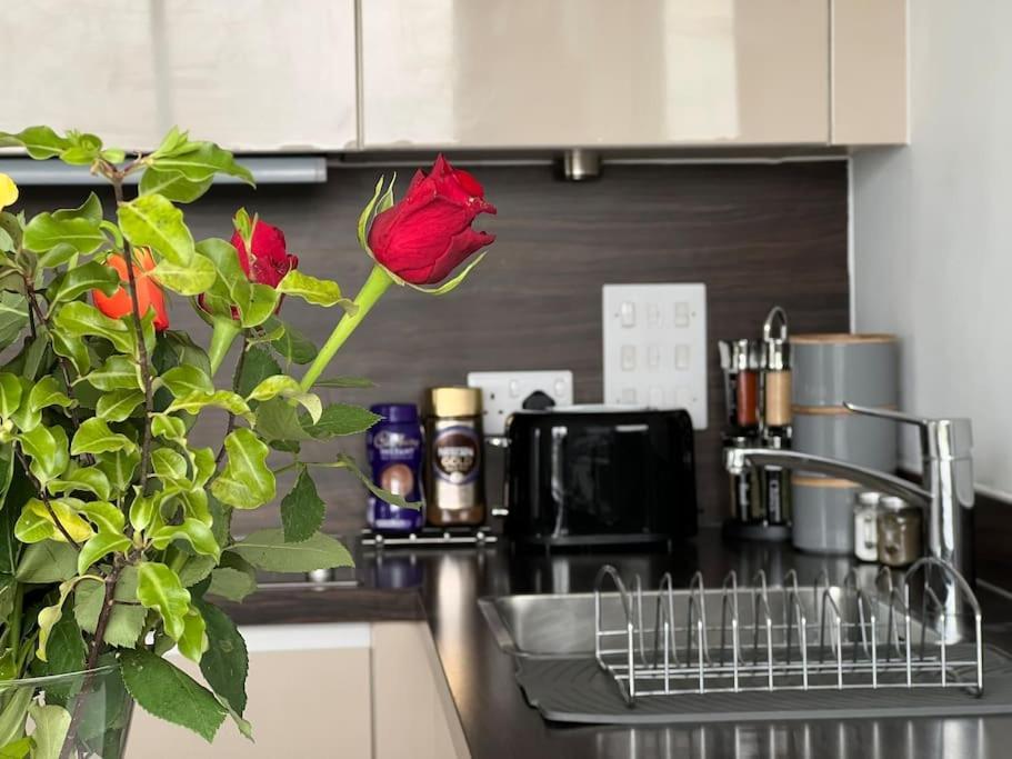 Apartment Penthouse In Wembley London