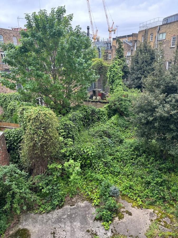 Camden Royale * London
