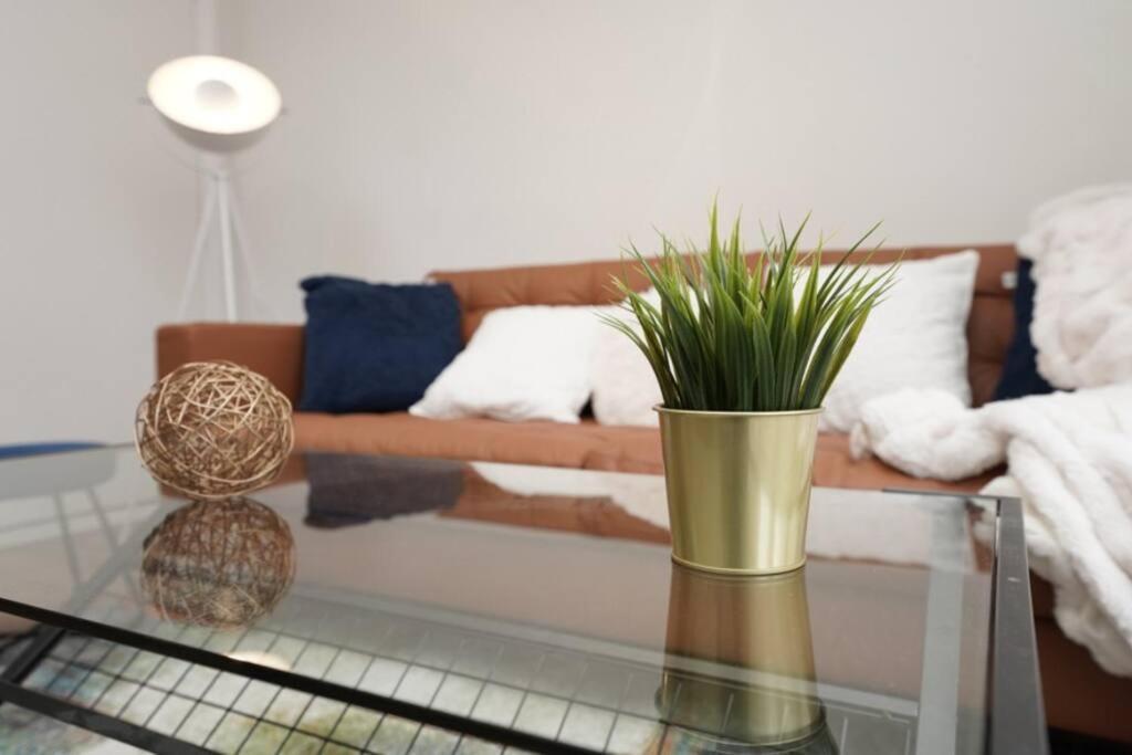Newly Renovated Modern 4 Bed 3 Bath Apartment
