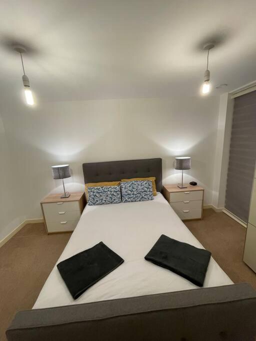 Spacious 2 Bedroom Modern Flat & Parking Leilighet London