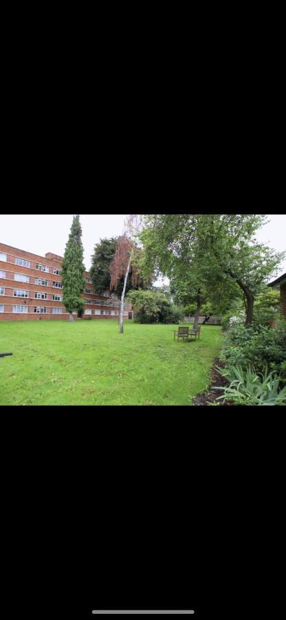 Central Flat In Putney *