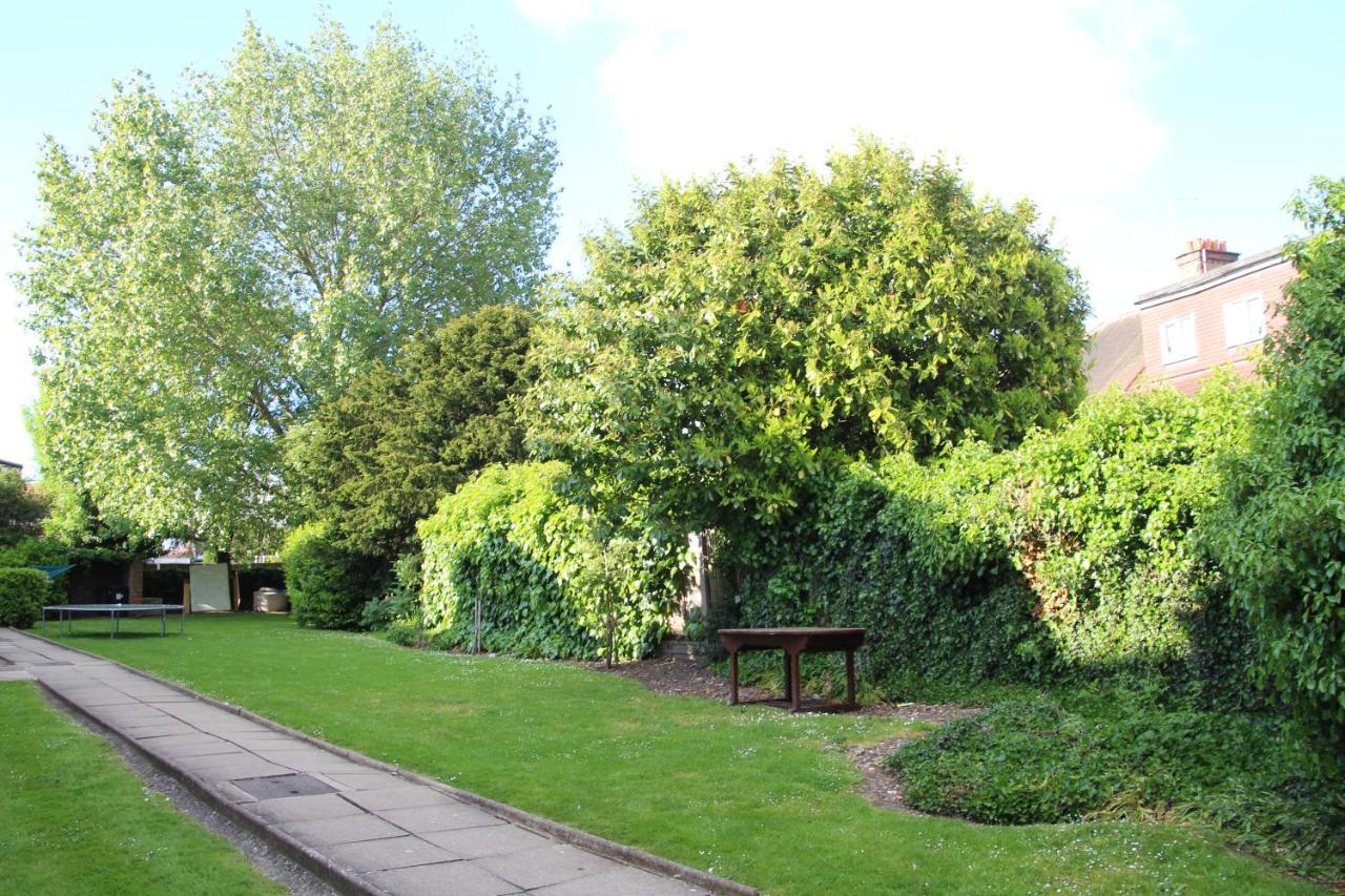 Comfortable Single Bed Garden View *