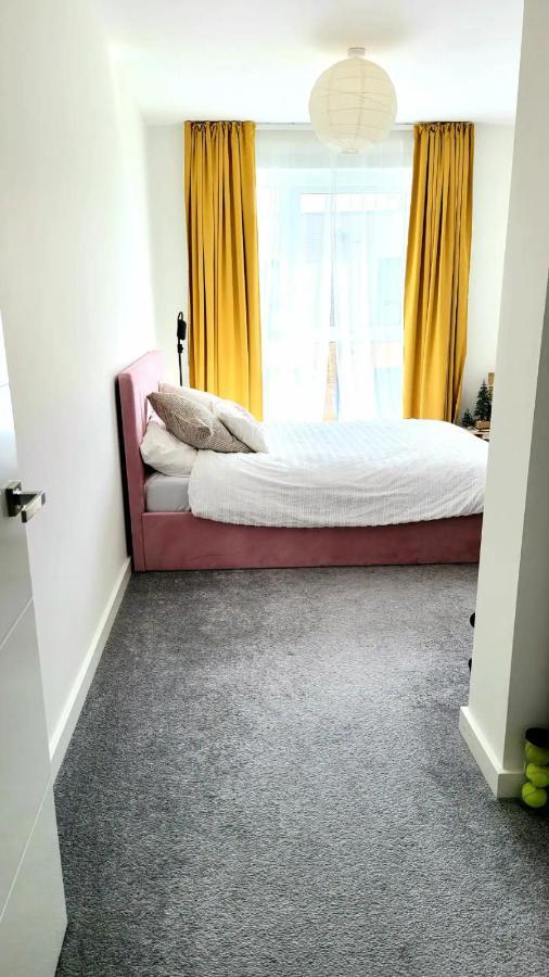Sunny Luxury Skyline Flat Near Alexandra Palace, Tottenham Stadium & Drumsheds Londra