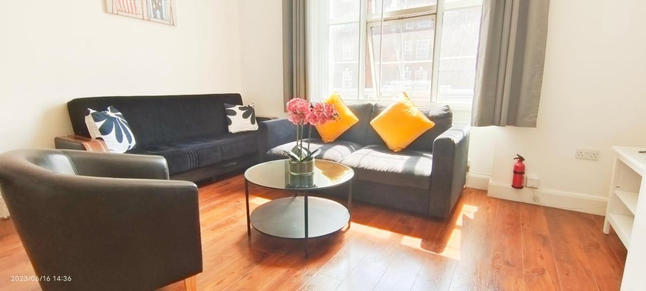 Lovely Beautiful In Marble Arch Apartment