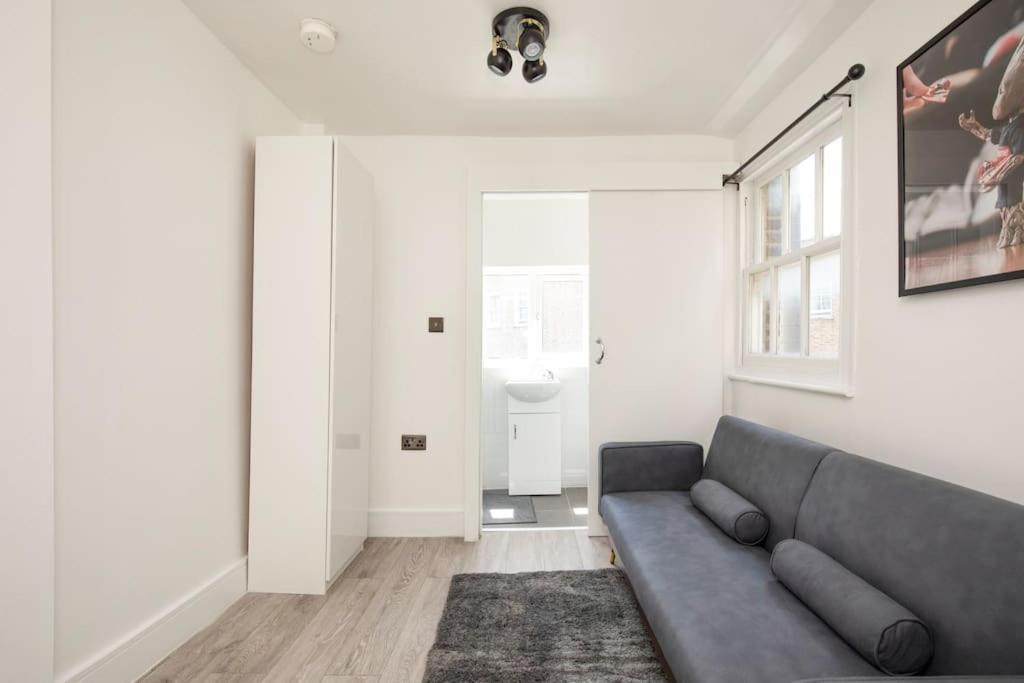 Spacious Serenity In The Heart Of Appartement Londres