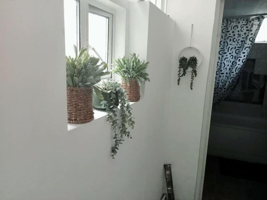 Cosy Flat In Whitechapel, Appartamento Londra