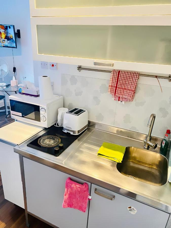 One Bed Studio Flat In Central Londra