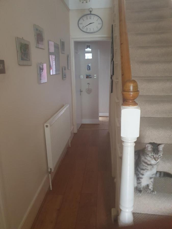 Homestay White Hart Lane Walking Distance Tottenham Hotspur Stadium London