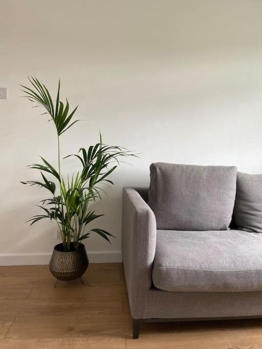 Appartement An Oasis In The Heart Of Hackney Londres