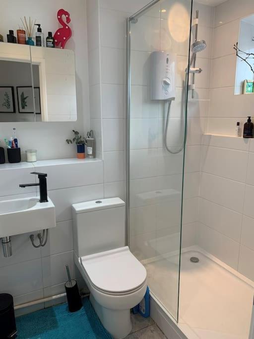 Lovely 1 Bedroom Flat In Zone 1/2 Lejlighed
