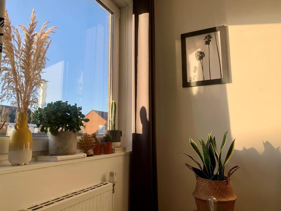 Appartement Lovely 1 Bedroom Flat In Zone 1/2