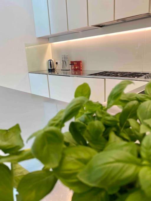 Feriehus Stunning 4 Bed Mews House With Patio