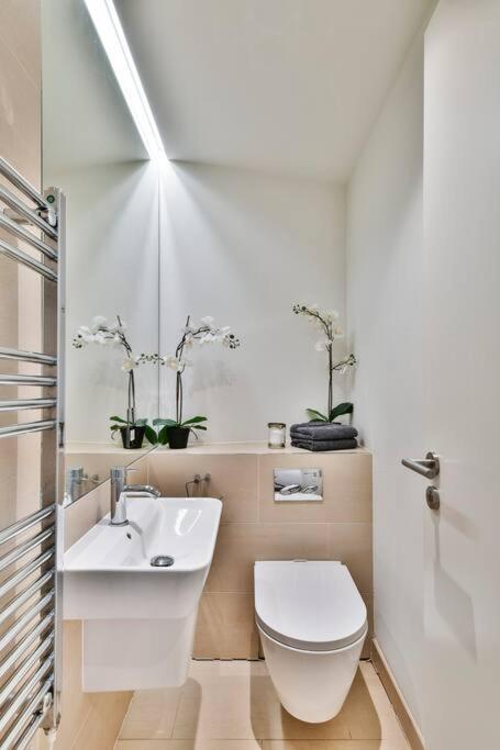 Knightsbridge/chelsea Penthouse Appartement