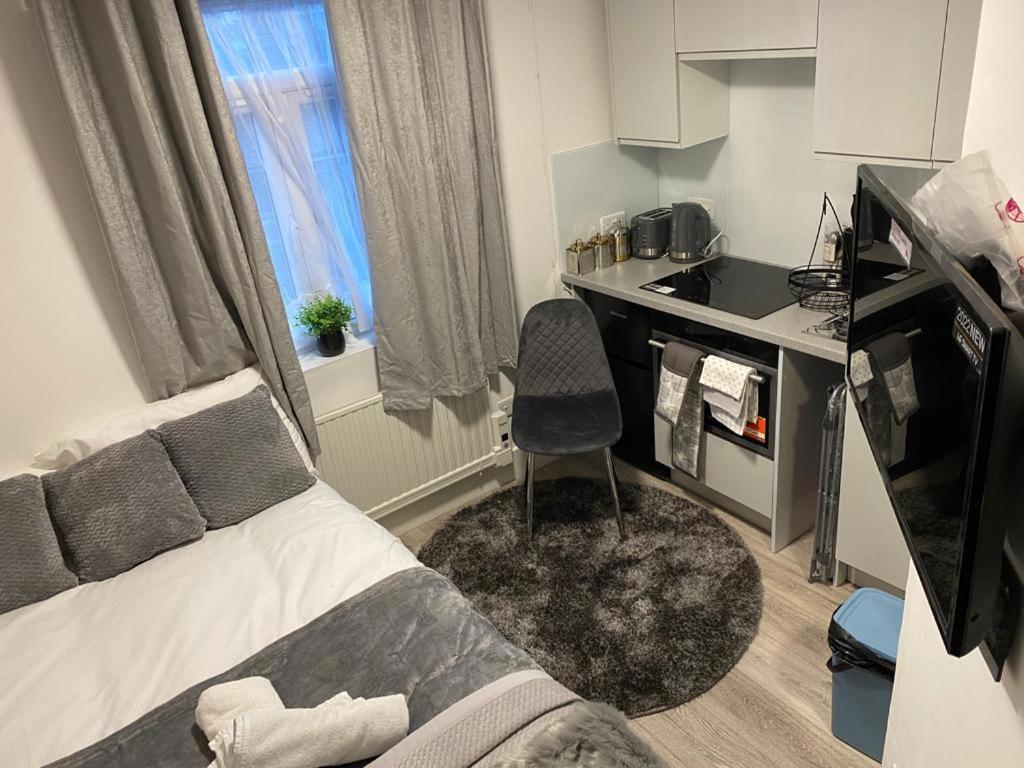 Small But Cozy Studio, Great Tube Connection Lägenhet London