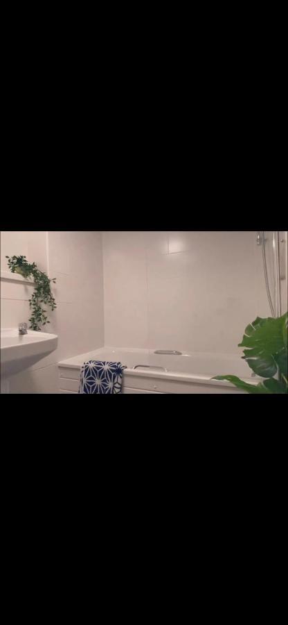 Great Private With Shared Bathroom -sleeps 2 -westminster Quick Links Hostel Londen