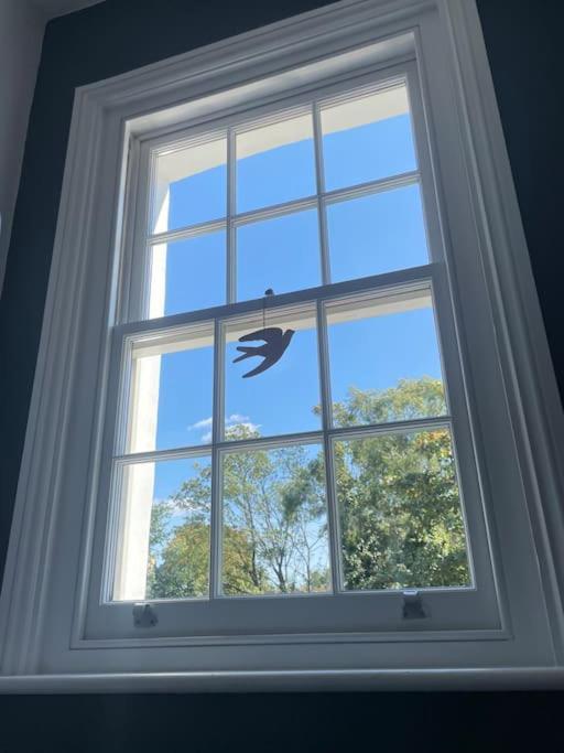Ferienhaus Beautiful Victorian House, Sleeps 12 London