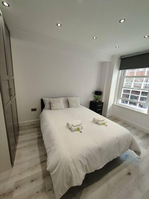 Appartement Flat 5 Crawford St, 1 Bedroom, 1 Bathroom Flat