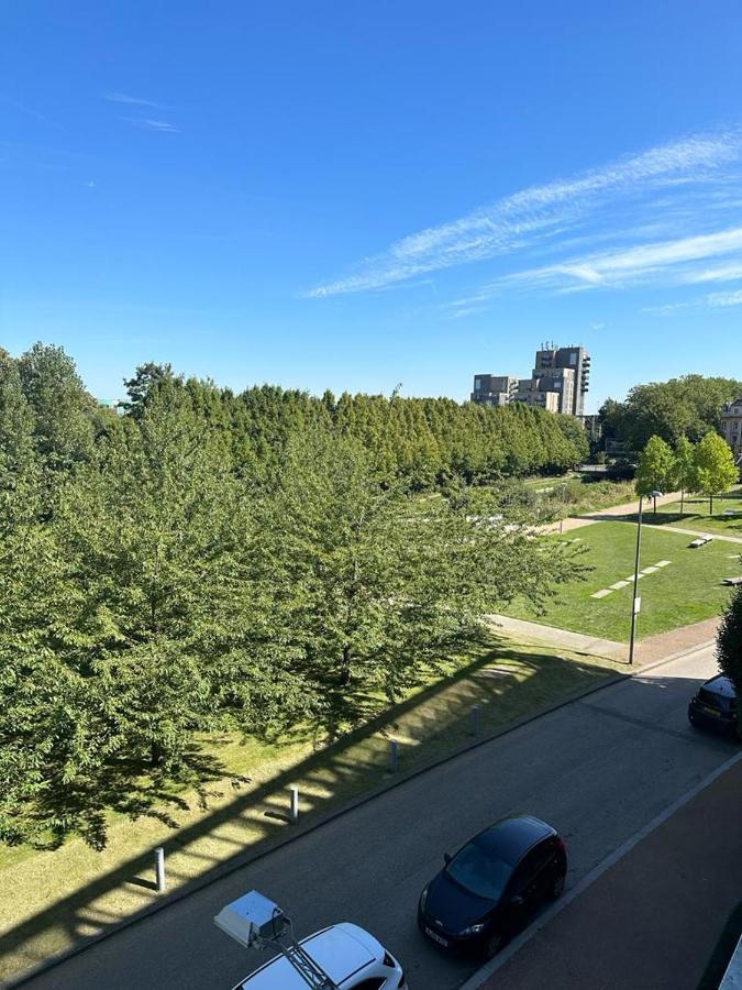 Luxury Modern 1 Bedroom With Balcony Apartment *