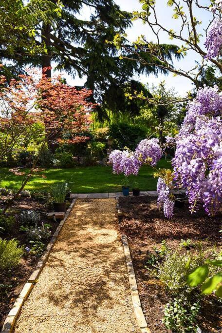 Spacious 2 Bed Garden Flat By The Thames+parking Lägenhet